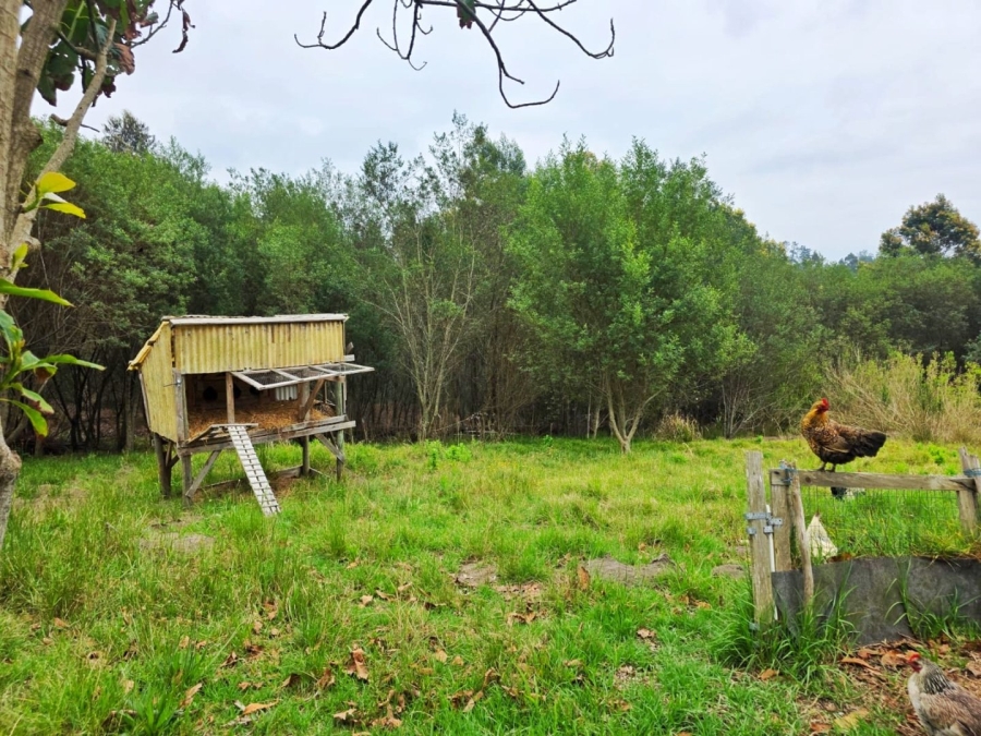 Commercial Property for Sale in Sedgefield Rural Western Cape